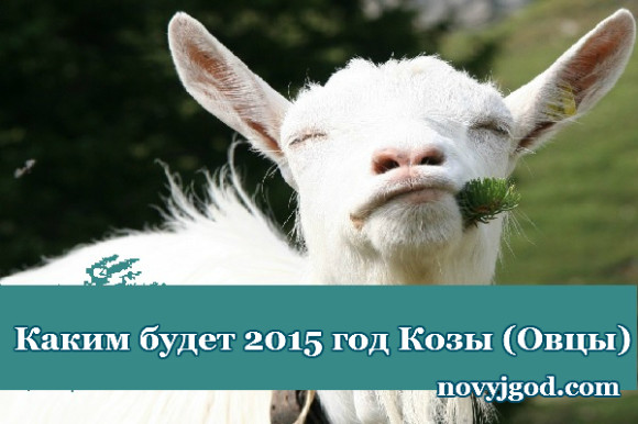 Каким будет 2015 год Козы (Овцы)