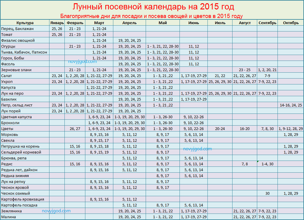 Когда убирать репу в 2018 году Когда убирать репу в 2018 году