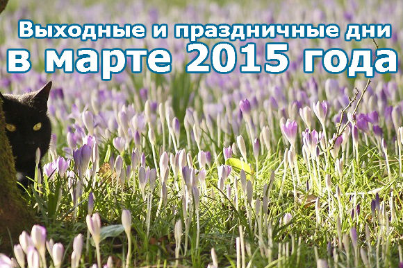 Выходные и праздничные дни в марте 2015 года