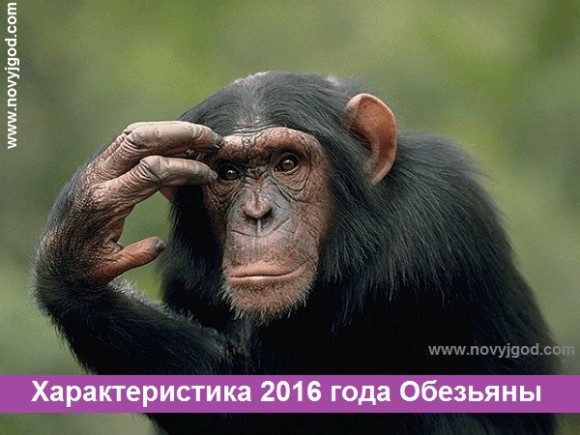 Характеристика 2016 года Обезьяны